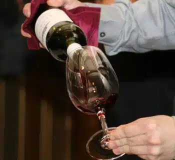 Trouvez votre voie : conseils pour choisir la meilleure orientation en école supérieure de vin